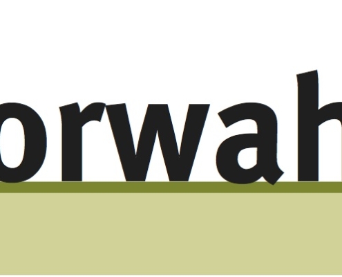 logo juniorwahl